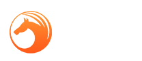 久久浏览器